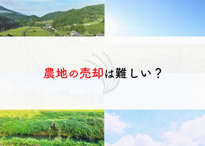 農地の売却は難しい？難しさの理由と売却の方法を紹介します！